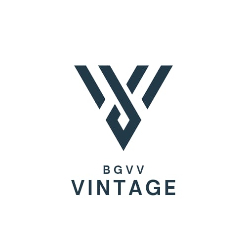 BGVV Vintage - Stylish Fashion Accessories